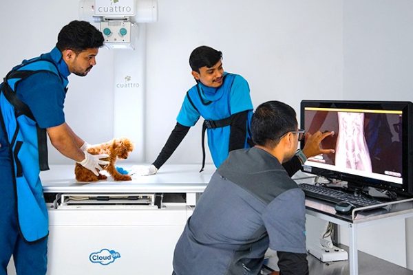 Digital-X-Ray