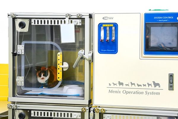 Emergency-Intensive-Care