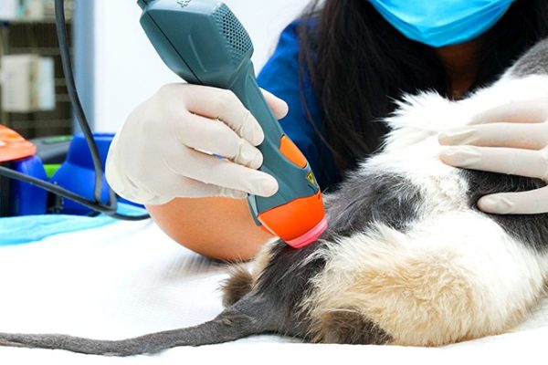 Laser-Therapy