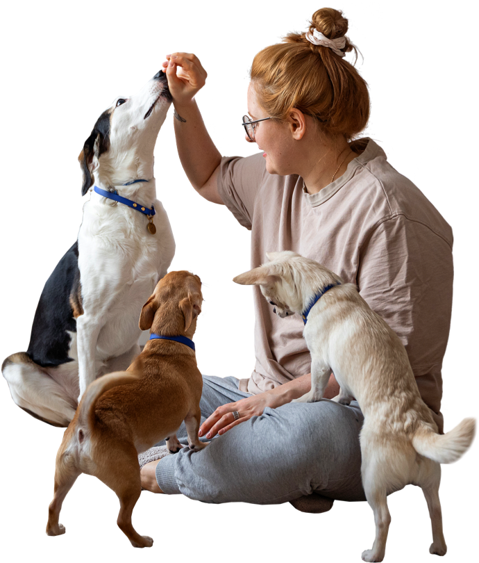 iStock-1391392455